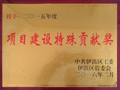 項目建設(shè)特殊貢獻獎